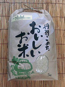 kome_011l