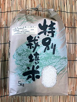 kome_019l