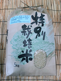 kome_021l