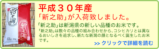 新潟の新しいお米「新之助」