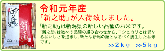 新潟の新しいお米「新之助」