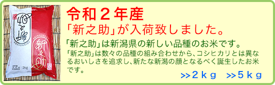 新潟の新しいお米「新之助」