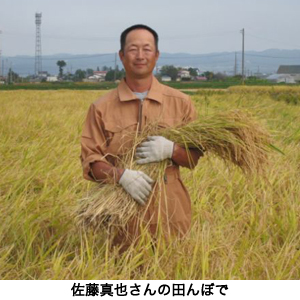 佐藤真さんの田んぼで